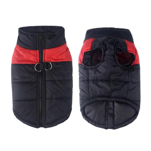 Colete de frio para Cachorros